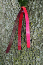 Load image into Gallery viewer, Ultra Light 4 oz. - 2000 hrs collar without tree switch