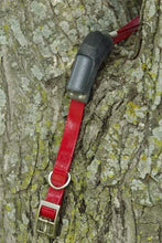 Load image into Gallery viewer, Standard Light 8 oz. - 4000 hrs collar with tree switch